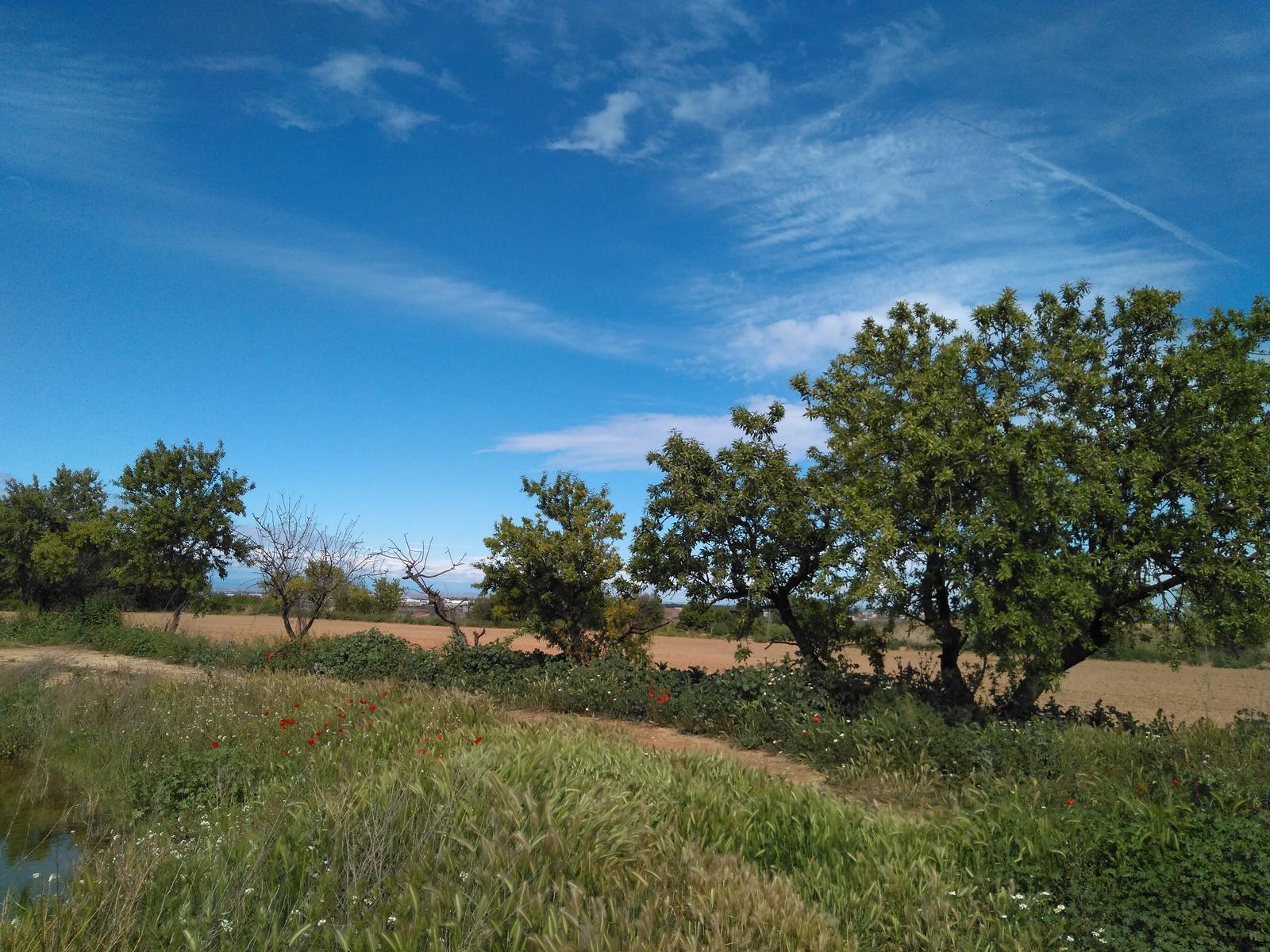 Rutes a peu per Sidamon