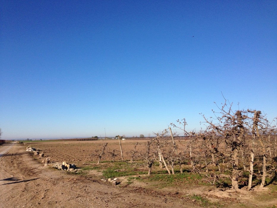 Rutes a peu per Sidamon