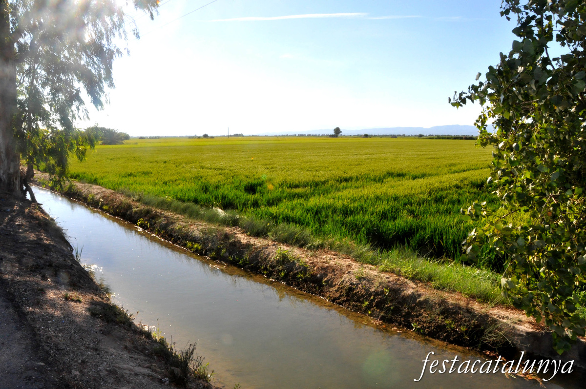 Sant Jaume d'Enveja - Arrossars 