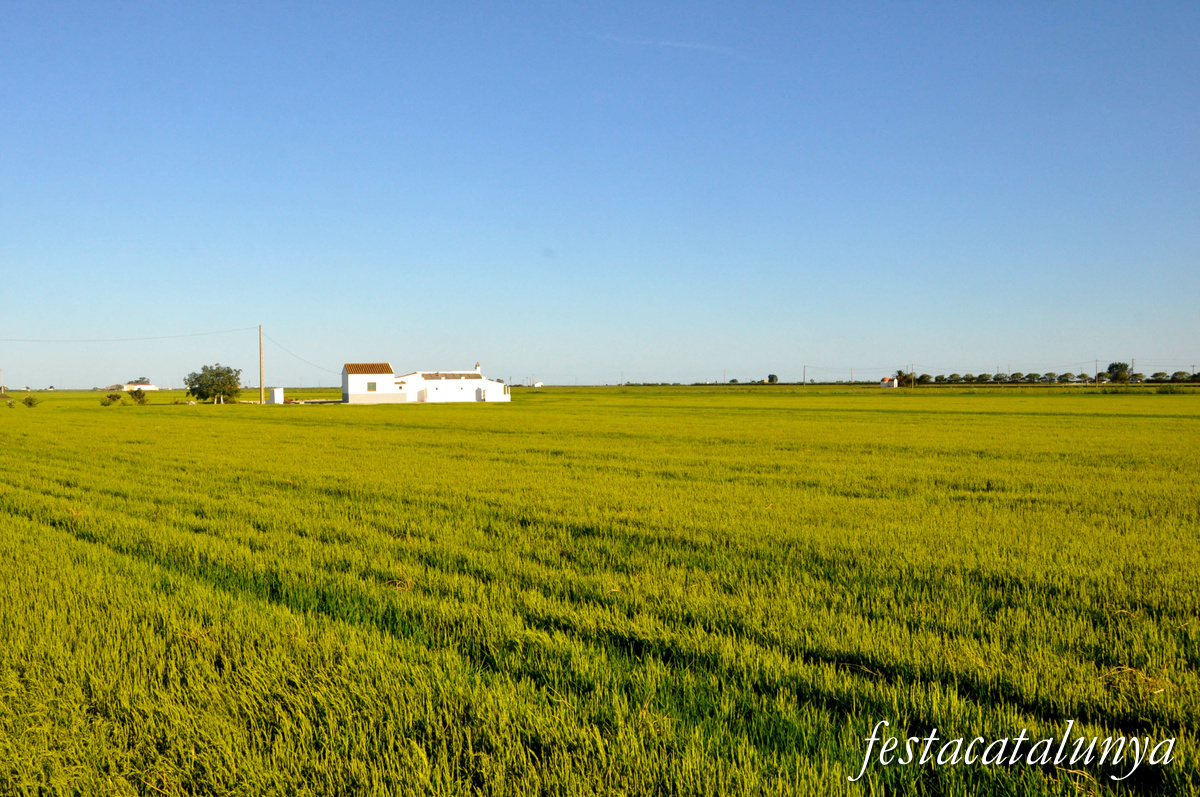 Sant Jaume d'Enveja - Arrossars 