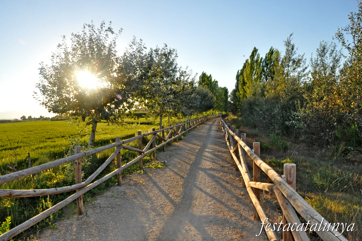 Sant Jaume d'Enveja - Balada