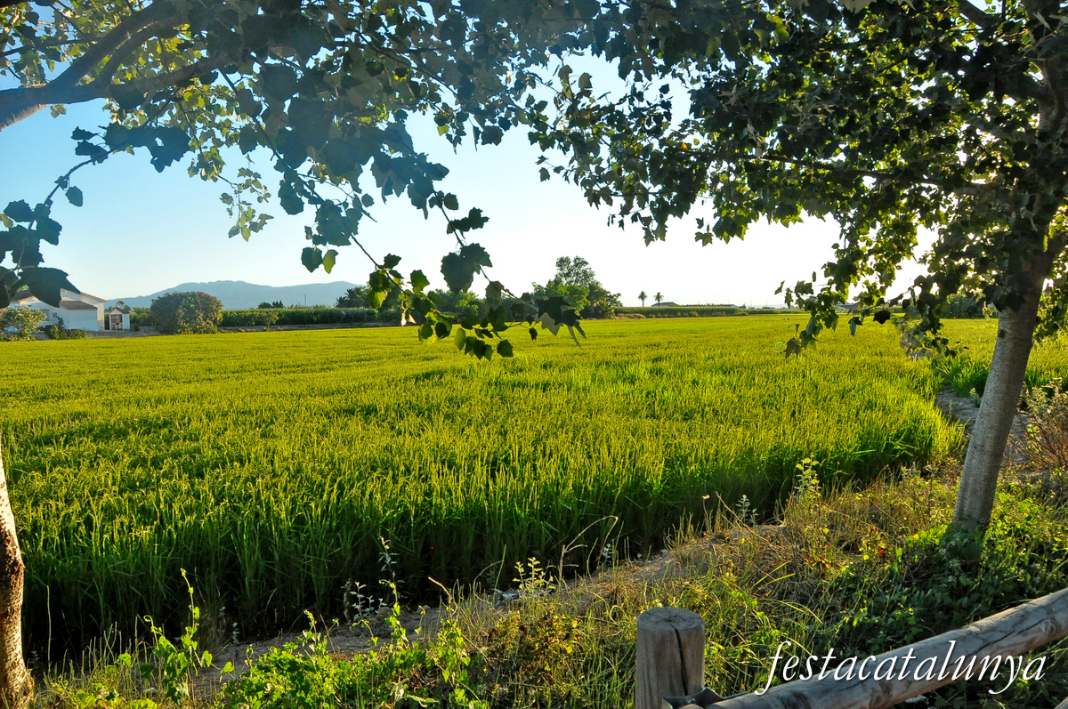 Sant Jaume d'Enveja - Balada 