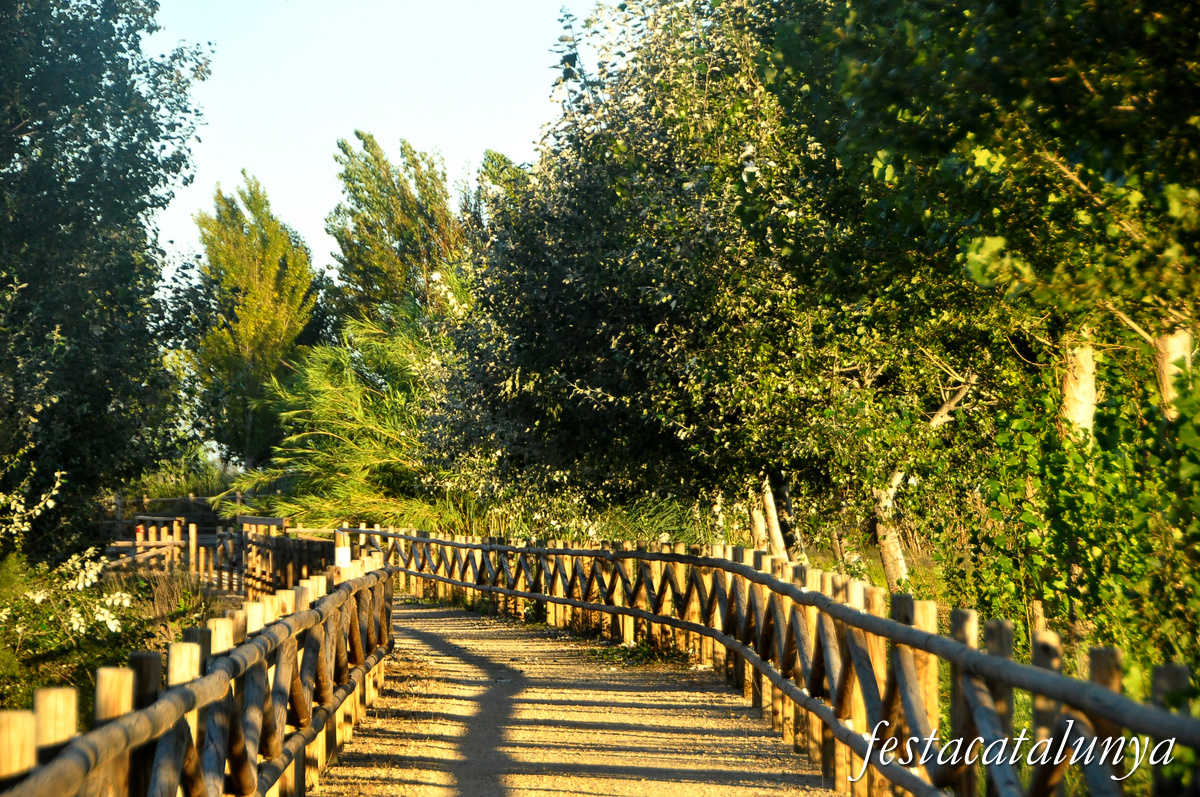 Sant Jaume d'Enveja - Balada 