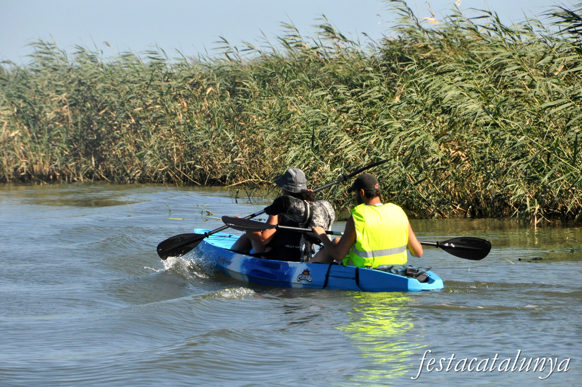 Sant Jaume d'Enveja - Itinerari riu Ebre 
