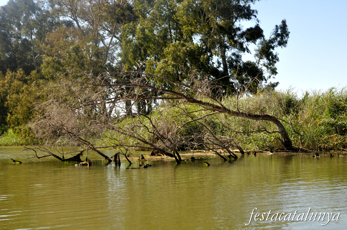 Sant Jaume d'Enveja - Itinerari riu Ebre 
