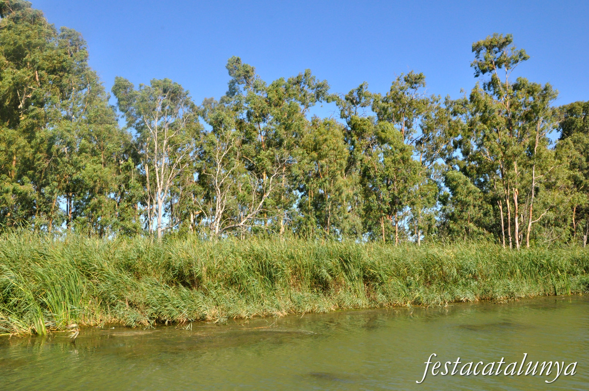 Sant Jaume d'Enveja - Itinerari riu Ebre 