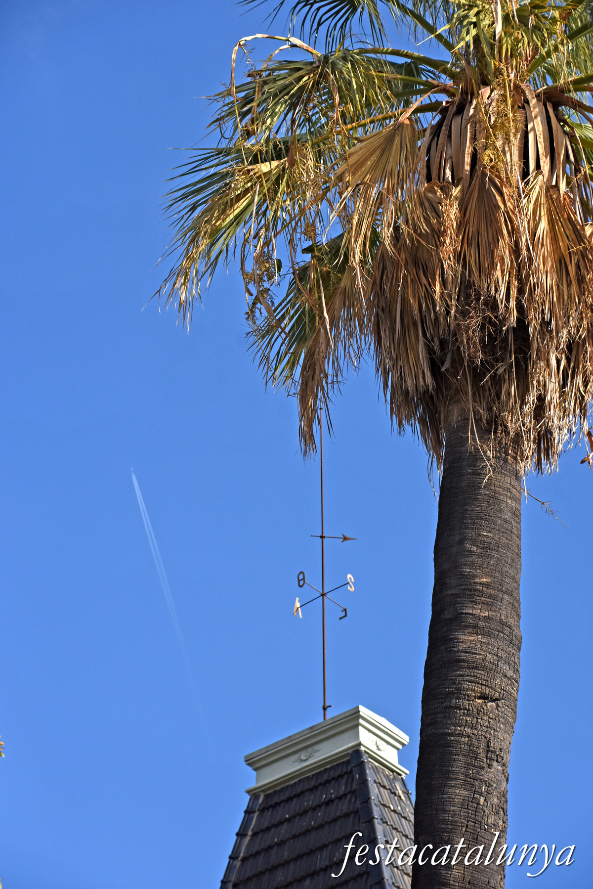 Pallejà - Cal Pablo, can Tarruella o la Molinada