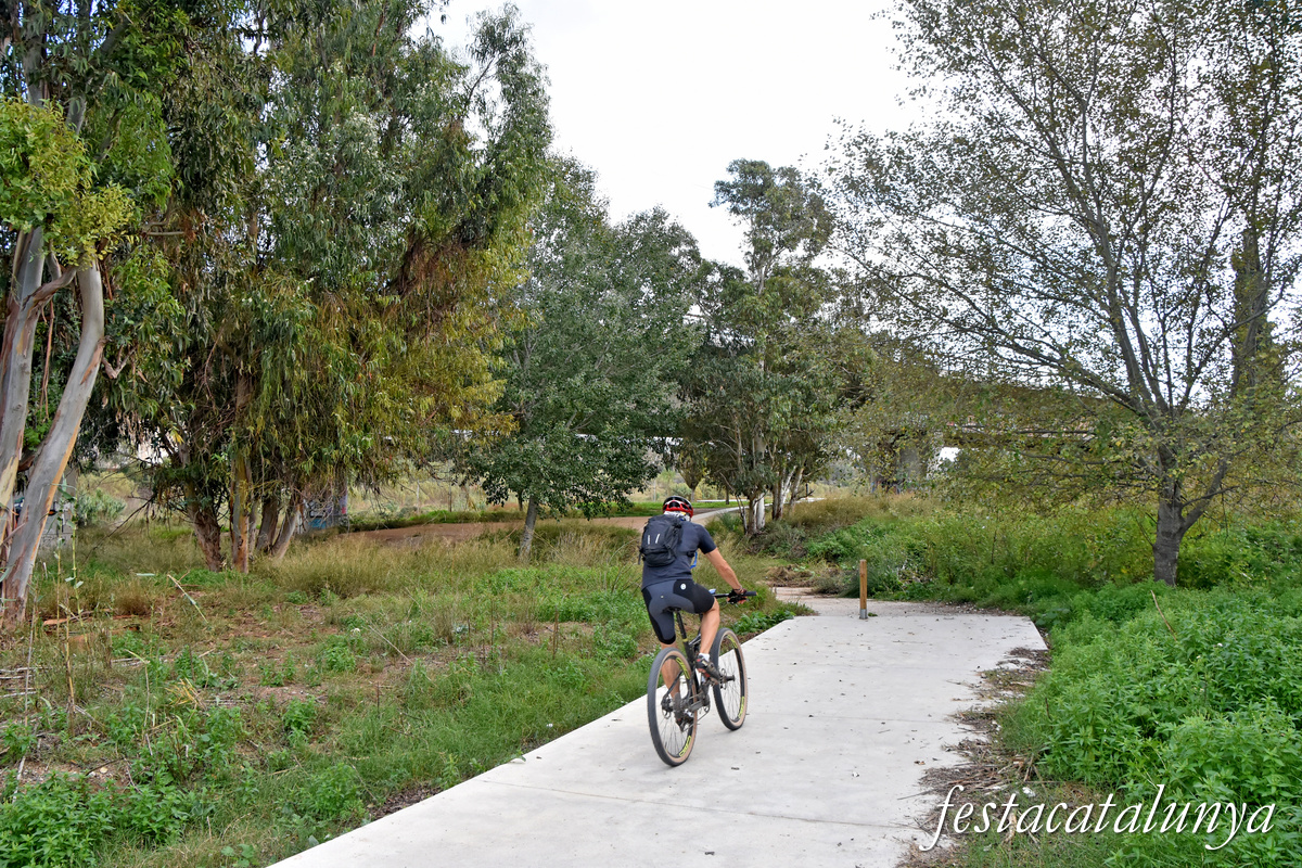 Pallejà - Camí Fluvial del riu Llobregat 