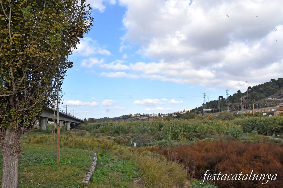 Pallejà - Camí Fluvial del riu Llobregat 