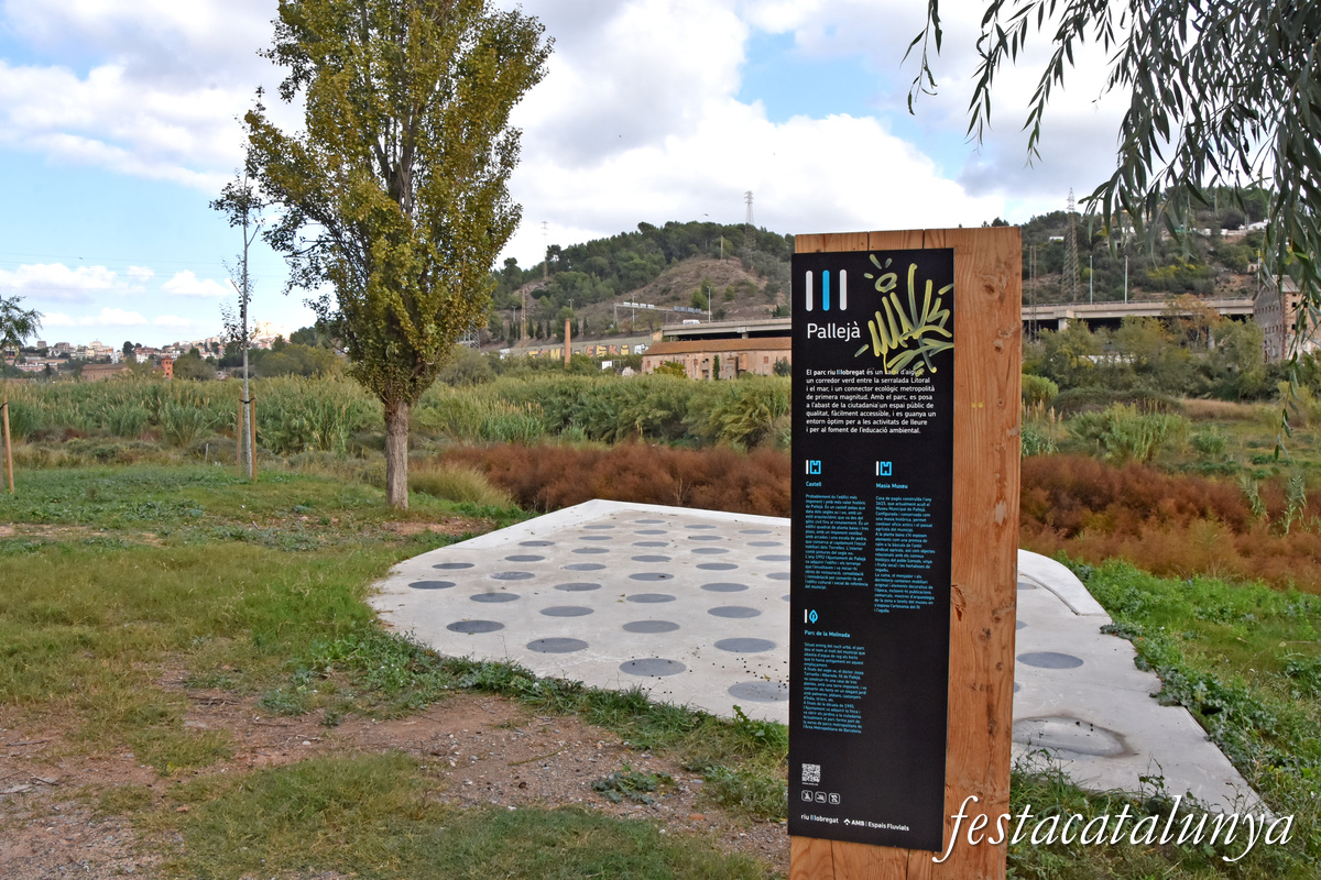 Pallejà - Camí Fluvial del riu Llobregat 