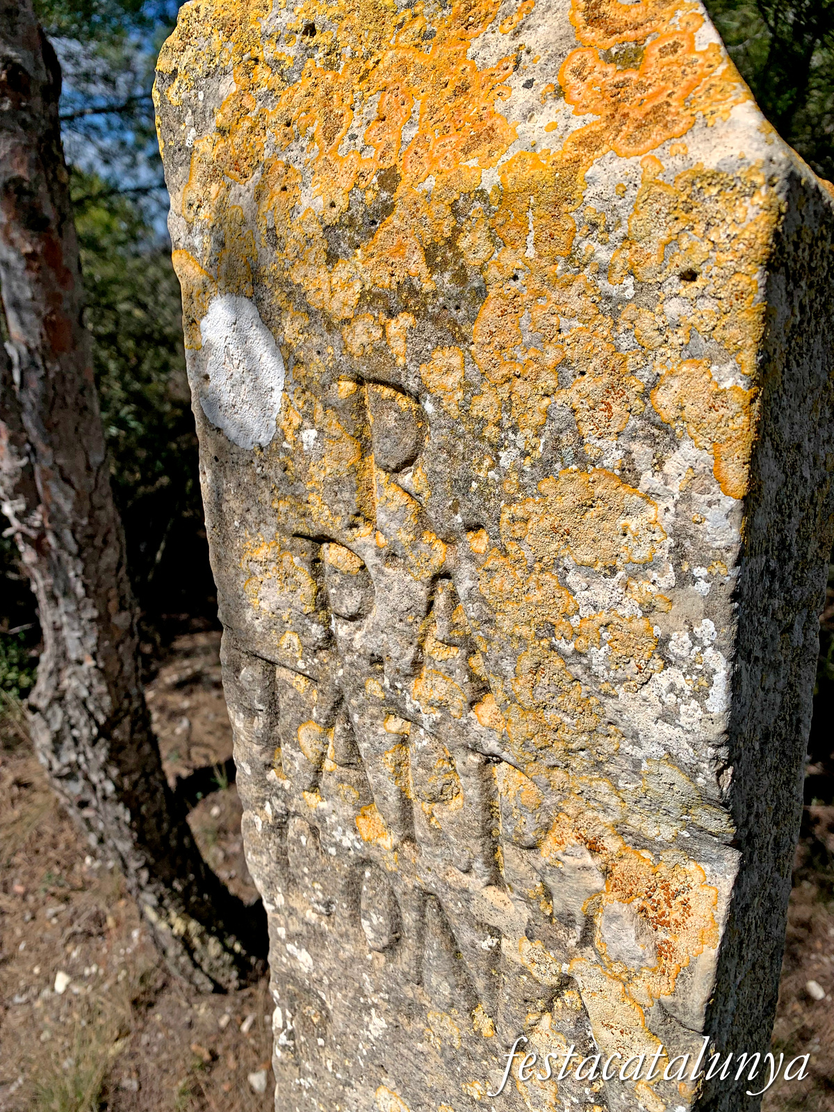 Almatret - Fita de les tres províncies: Tarragona, Lleida i Saragossa 