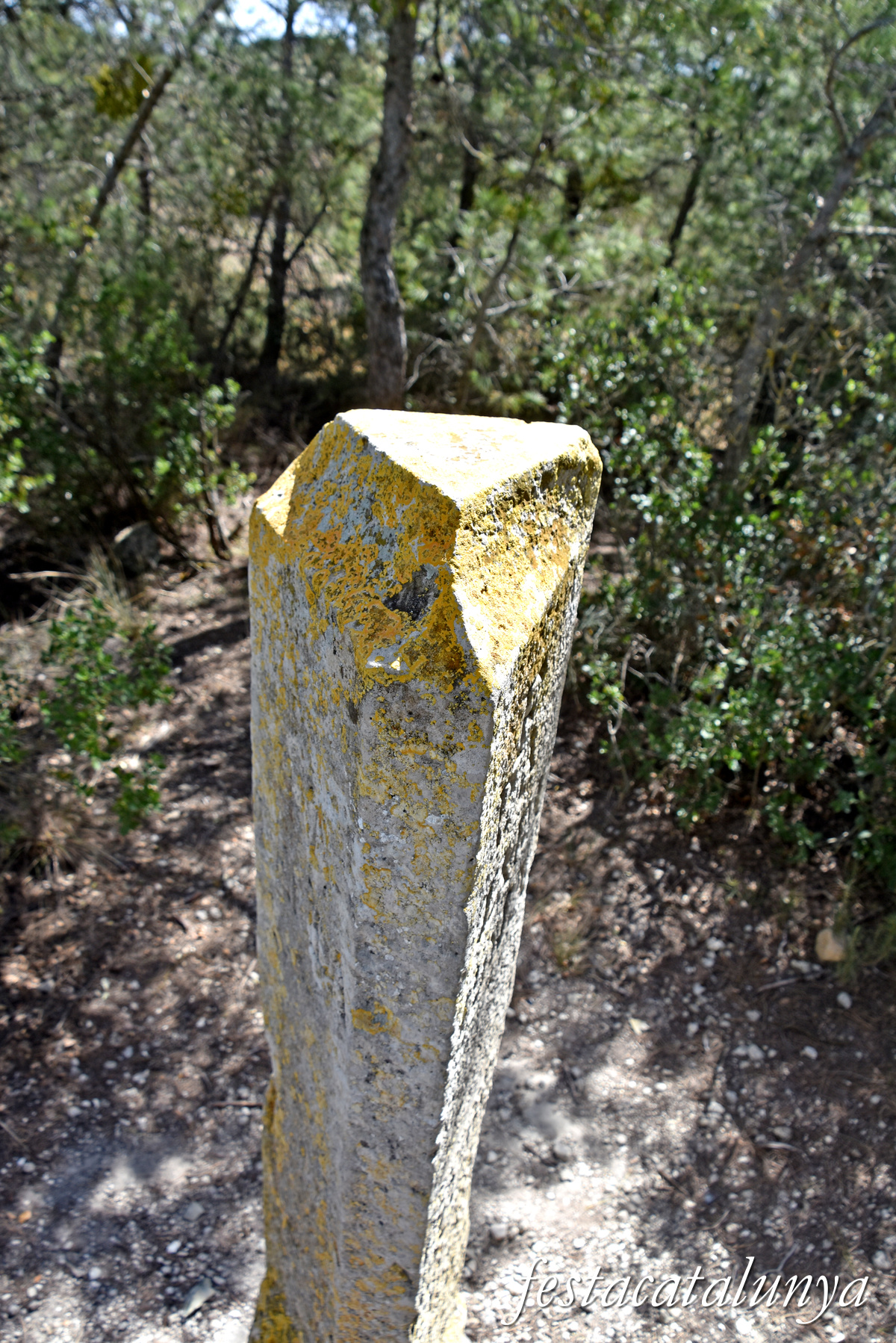 Almatret - Fita de les tres províncies: Tarragona, Lleida i Saragossa 