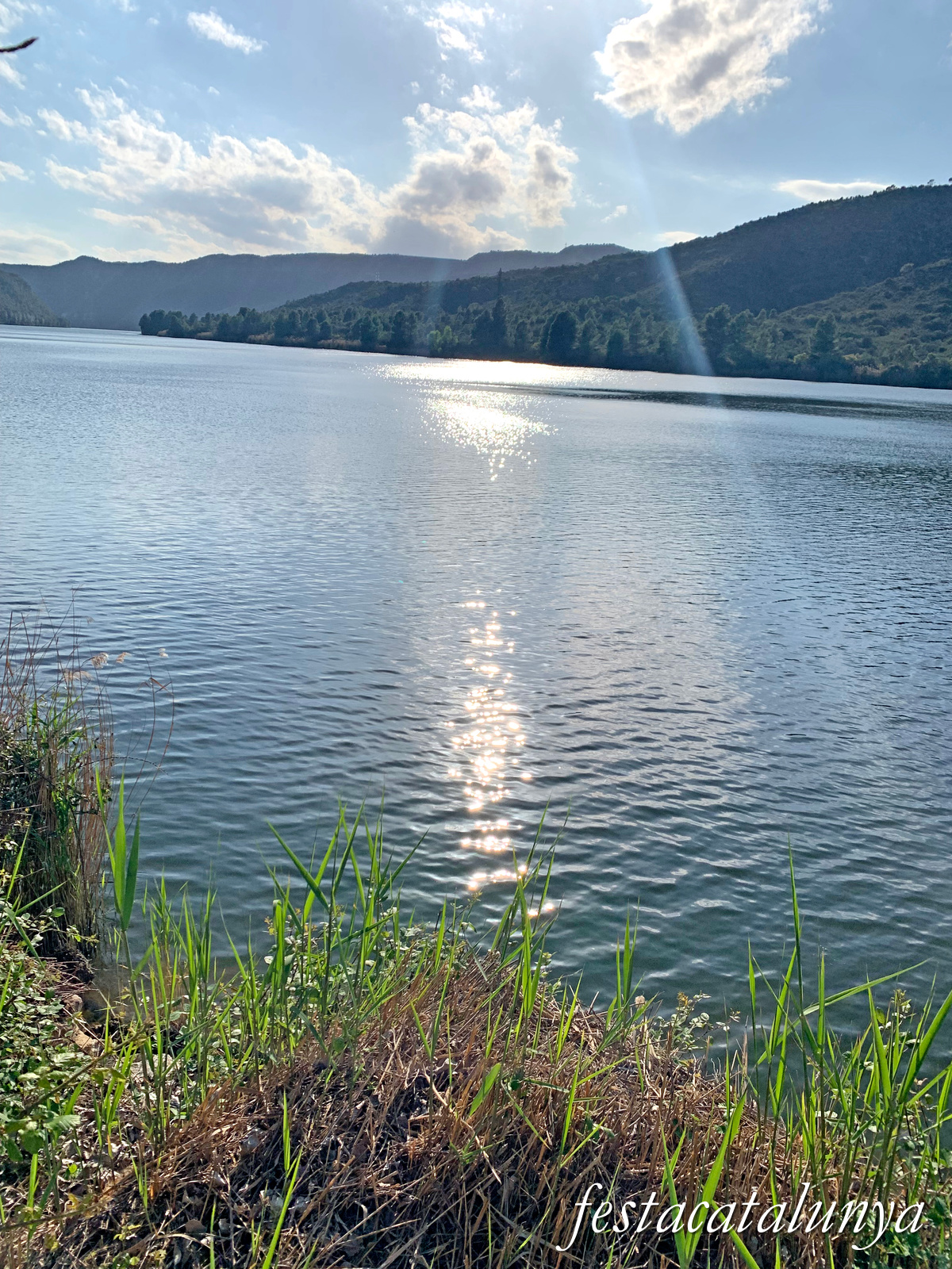 Almatret - L'embarcador 