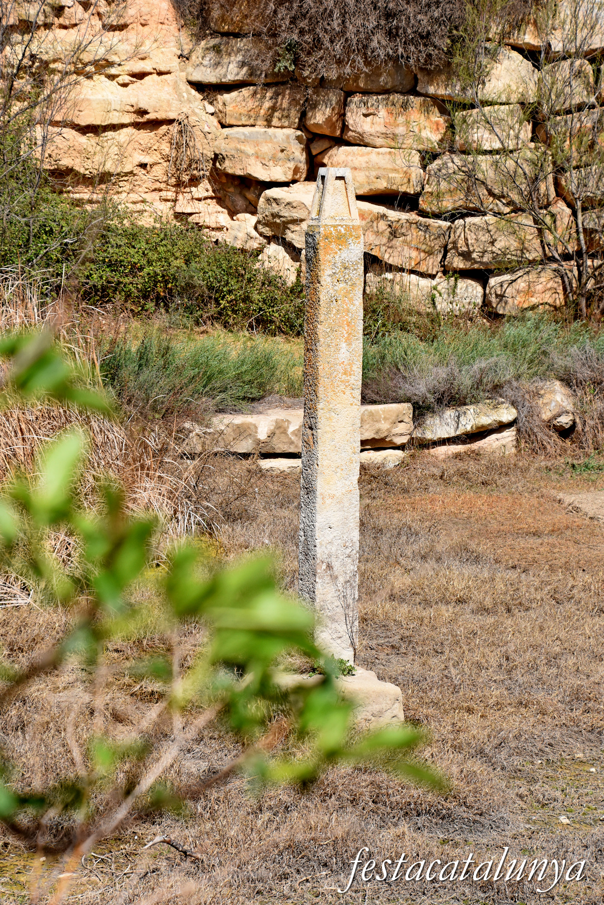 Almatret - La Bassa d'Amunt 