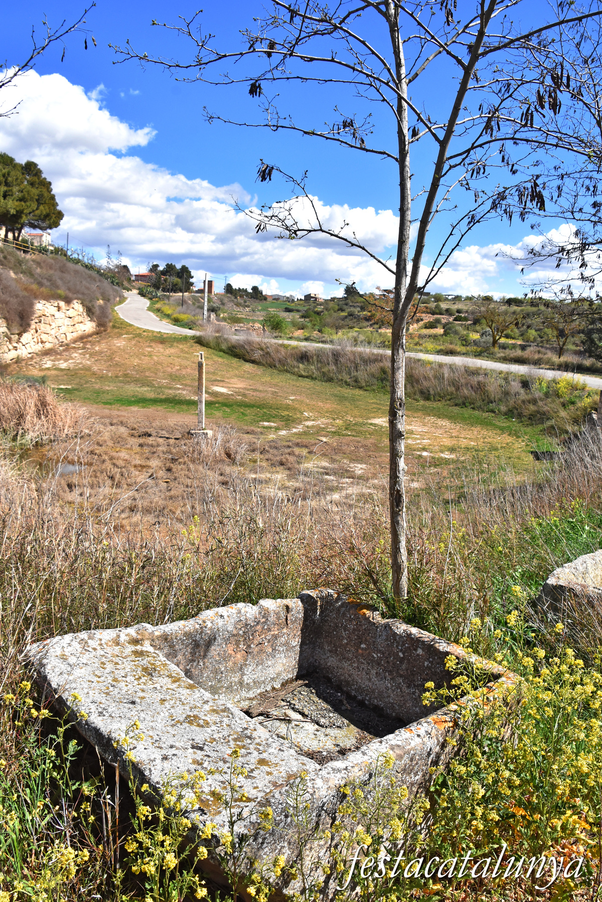 Almatret - La Bassa d'Amunt 