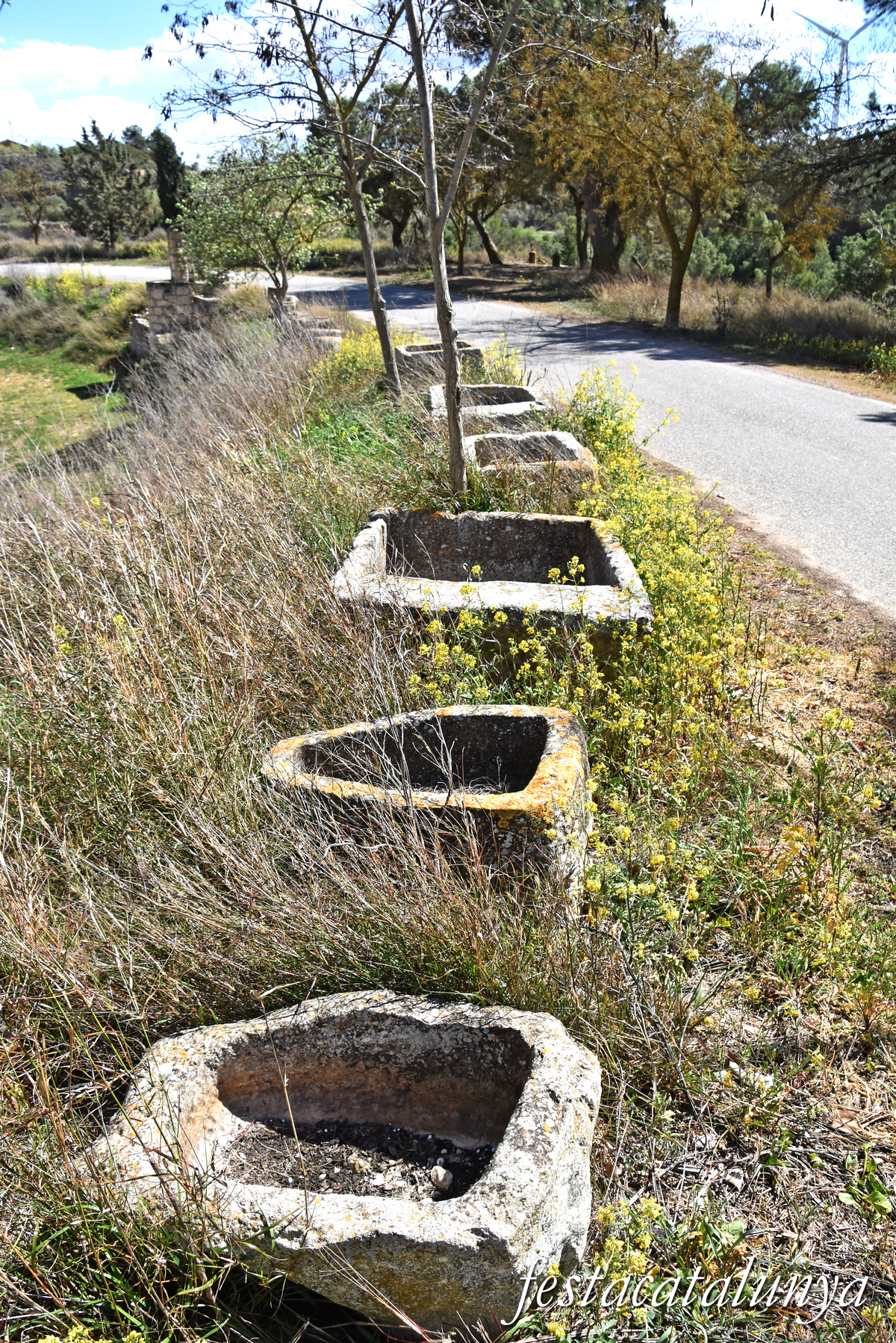 Almatret - La Bassa d'Amunt