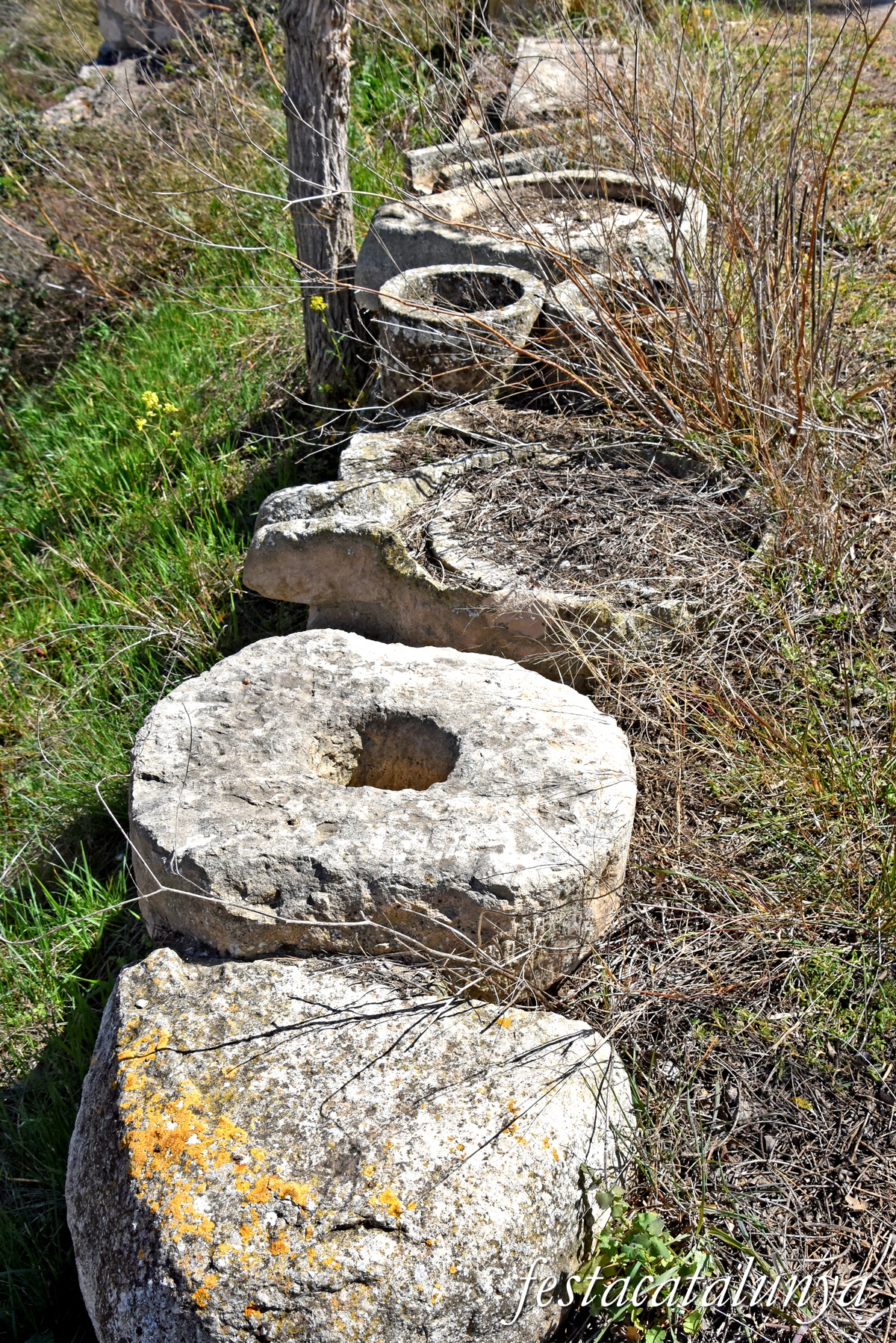 Almatret - La Bassa d'Amunt 