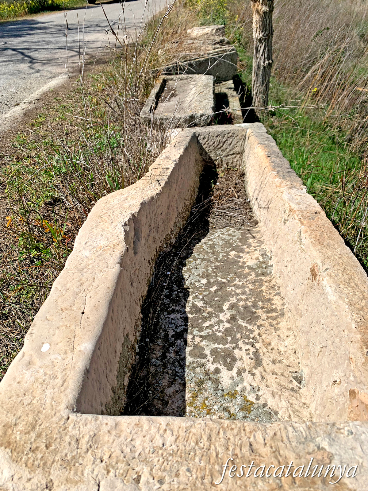 Almatret - La Bassa d'Amunt 