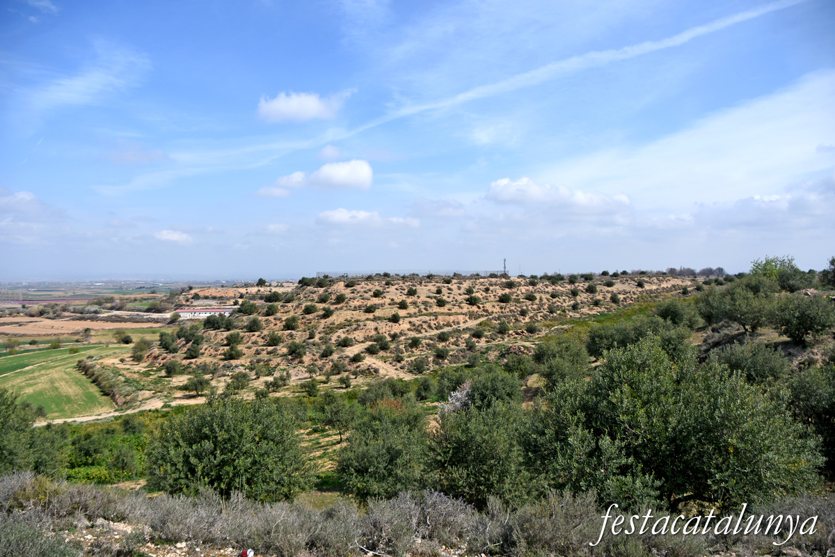 Sidamon - Jaciment ibèric del Tossal de les Tenalles 