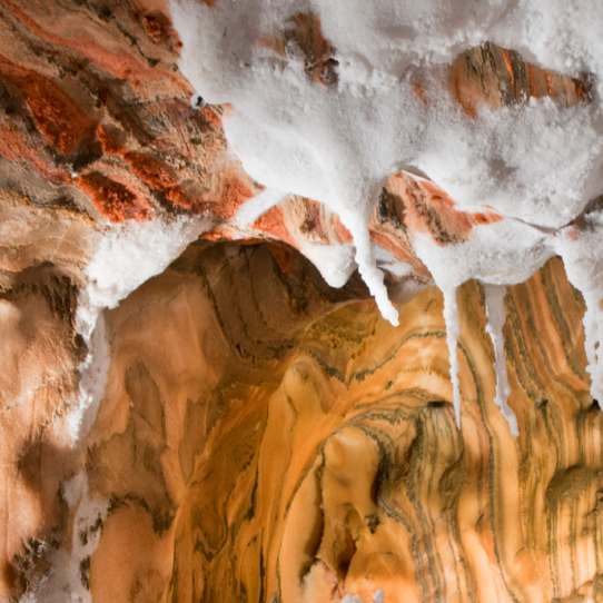 Festa de la Sal de Cardona