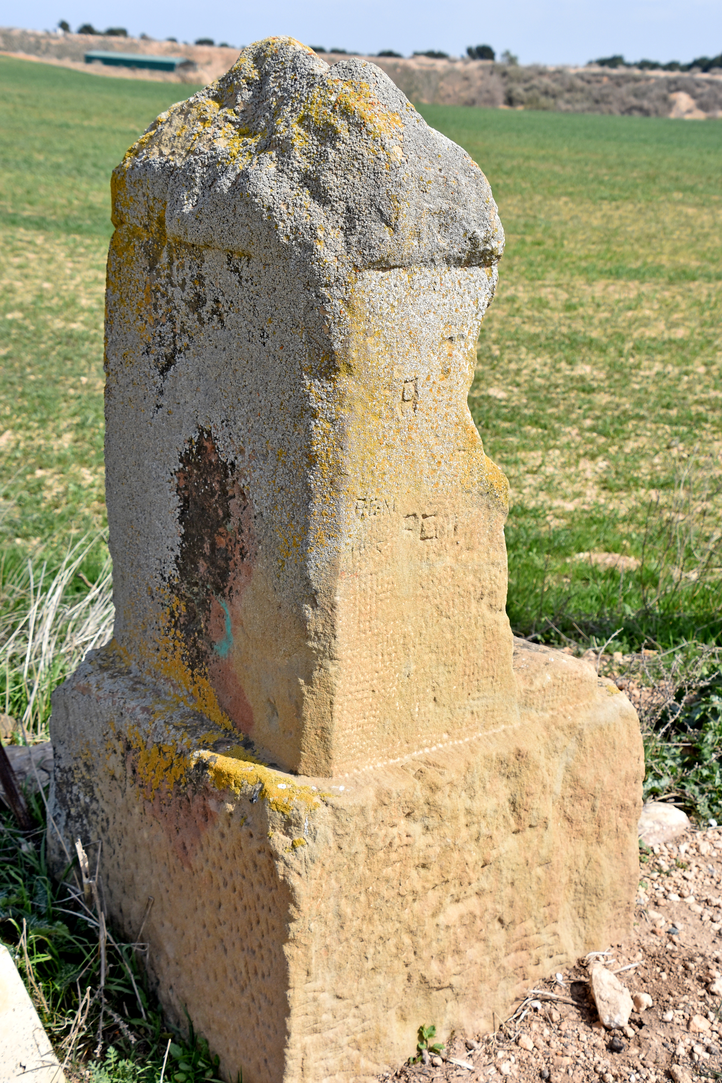 Fita dels tres termes a Torrefarrera