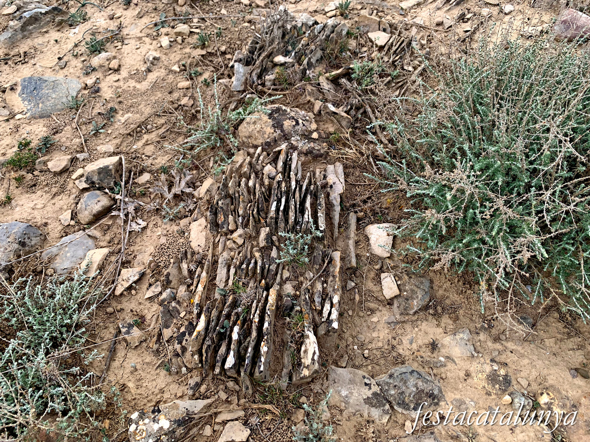 Seròs - Necròpolis de les roques de Sant Formatge