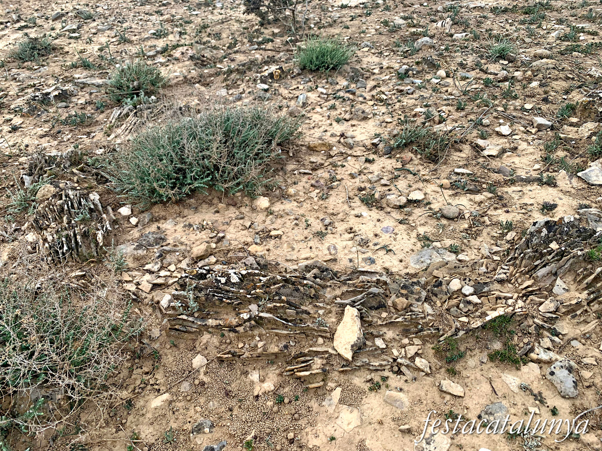 Seròs - Necròpolis de les roques de Sant Formatge 