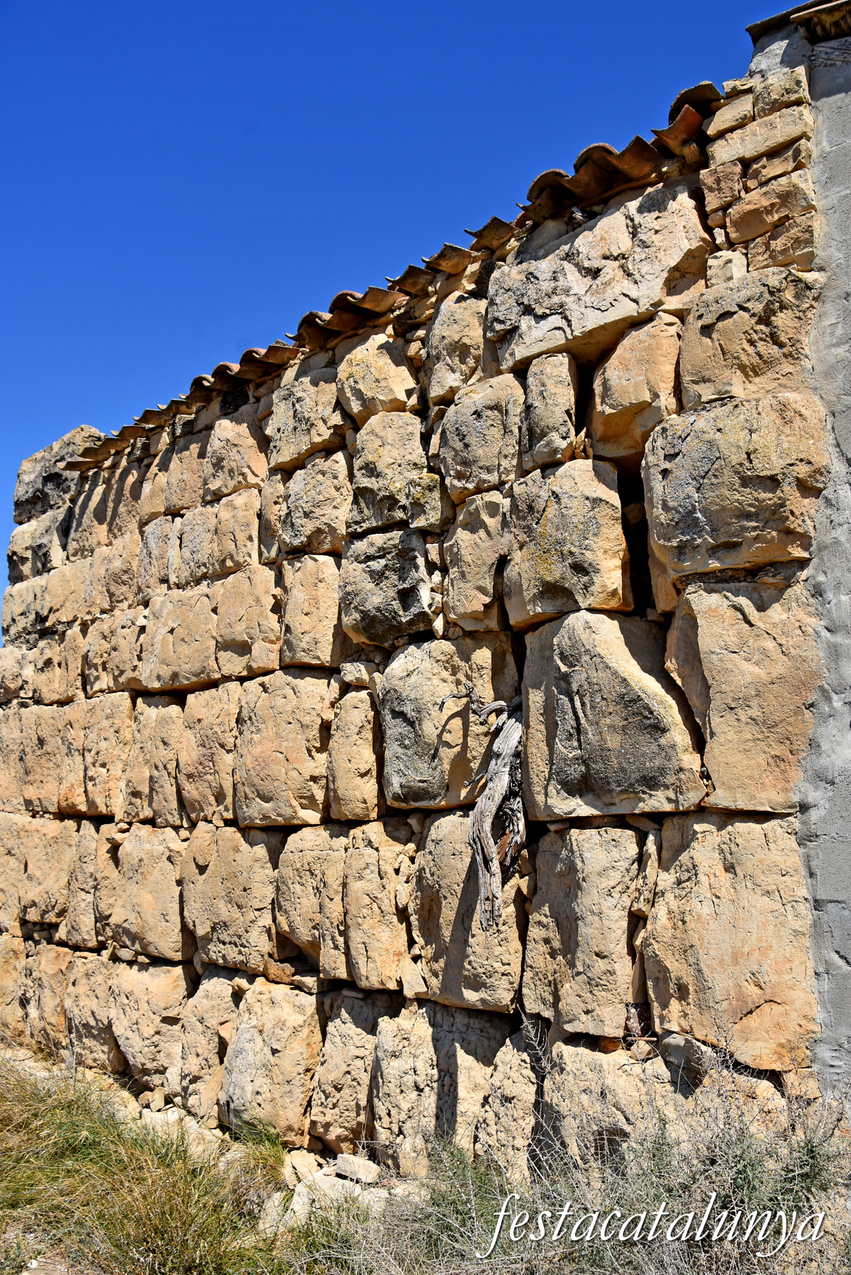 Seròs - Torre d'Algorfa 