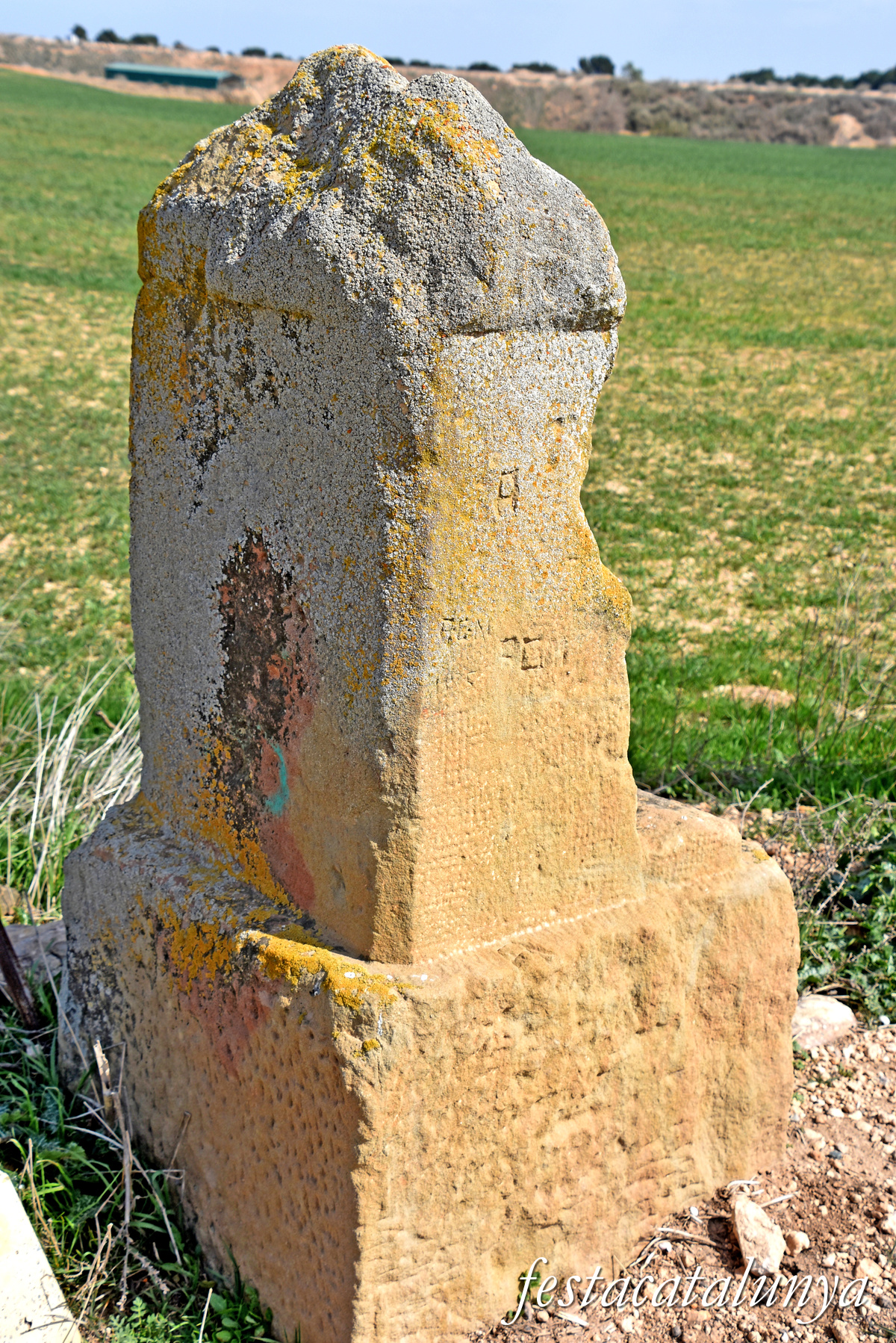 Fita del Pla de les Tres Fites d'Alpicat