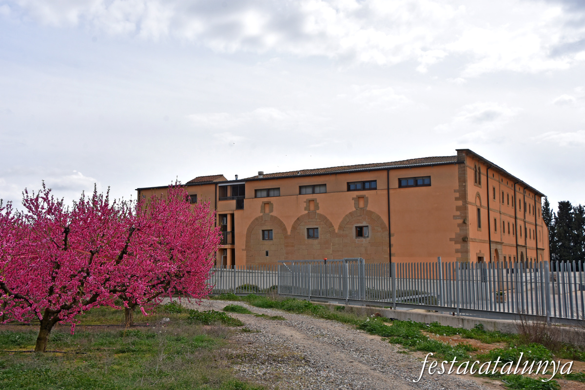 Torrefarrera - Edifici de l'Ensenyança 
