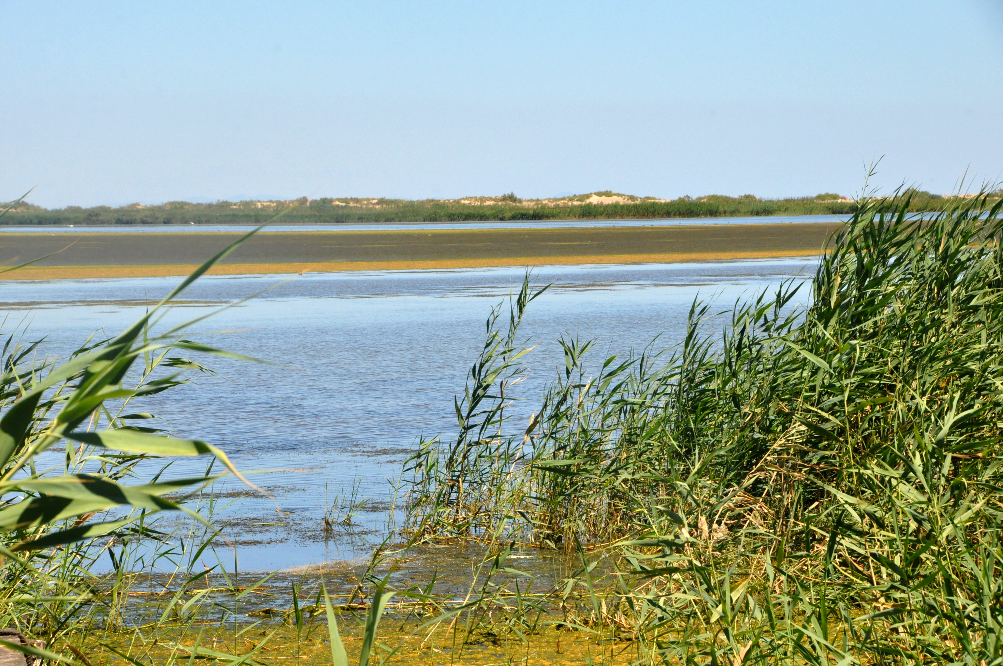 Miradors del Garxal del riu Ebre a Deltebre ***