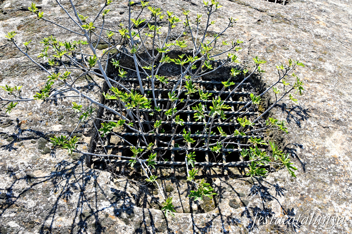 Torre-serona - Sitges i dipòsits del Calvari