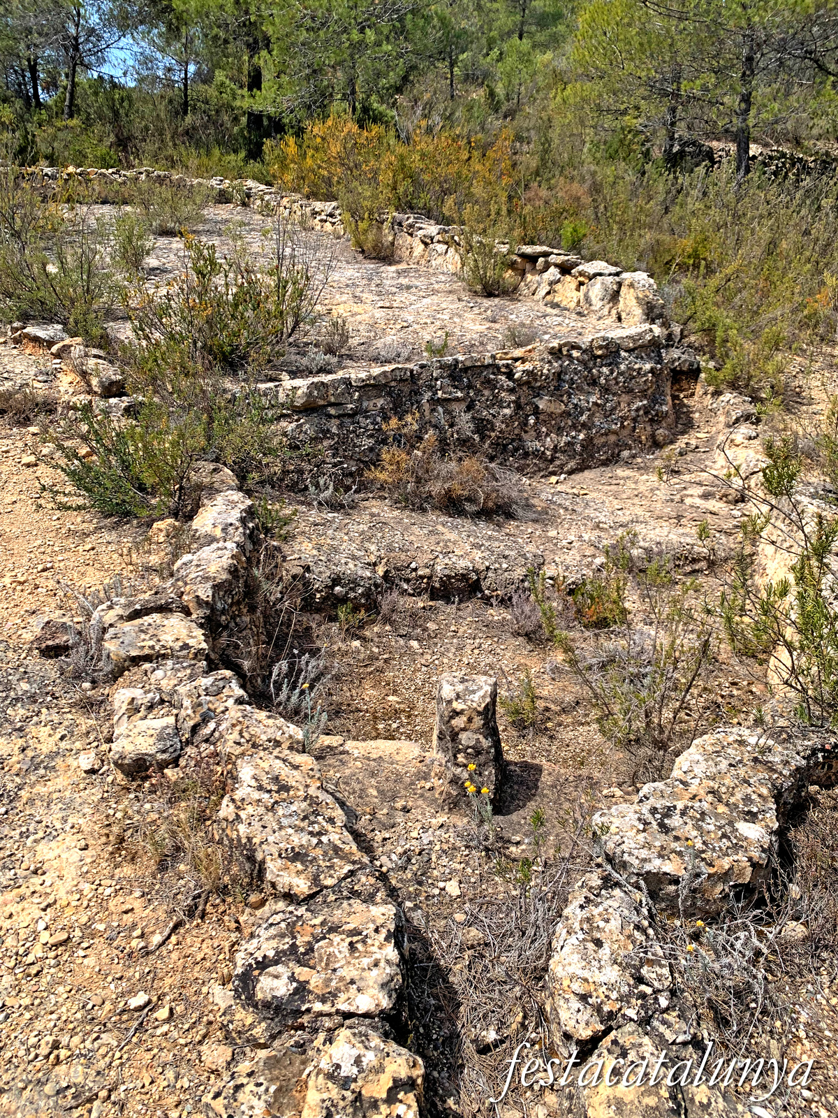 Cabacés - Aljub de Sant Roc 