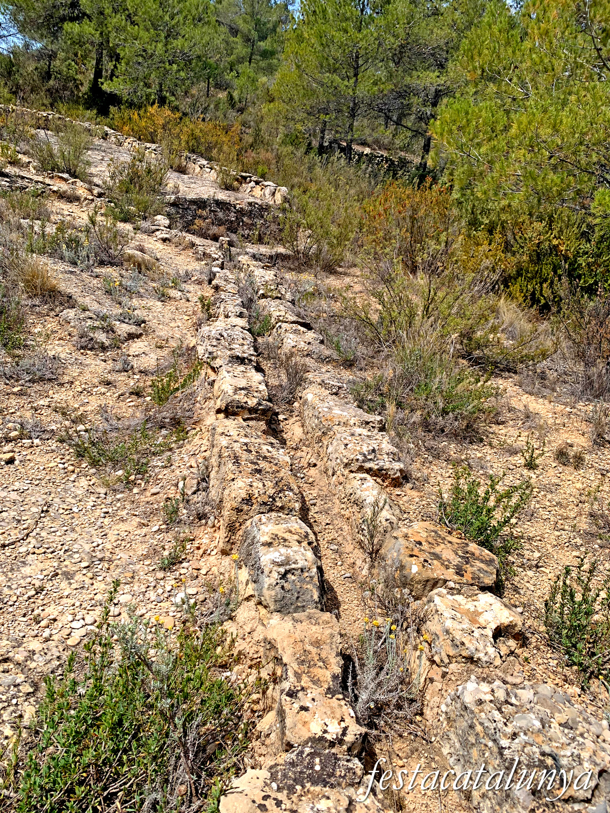 Cabacés - Aljub de Sant Roc 