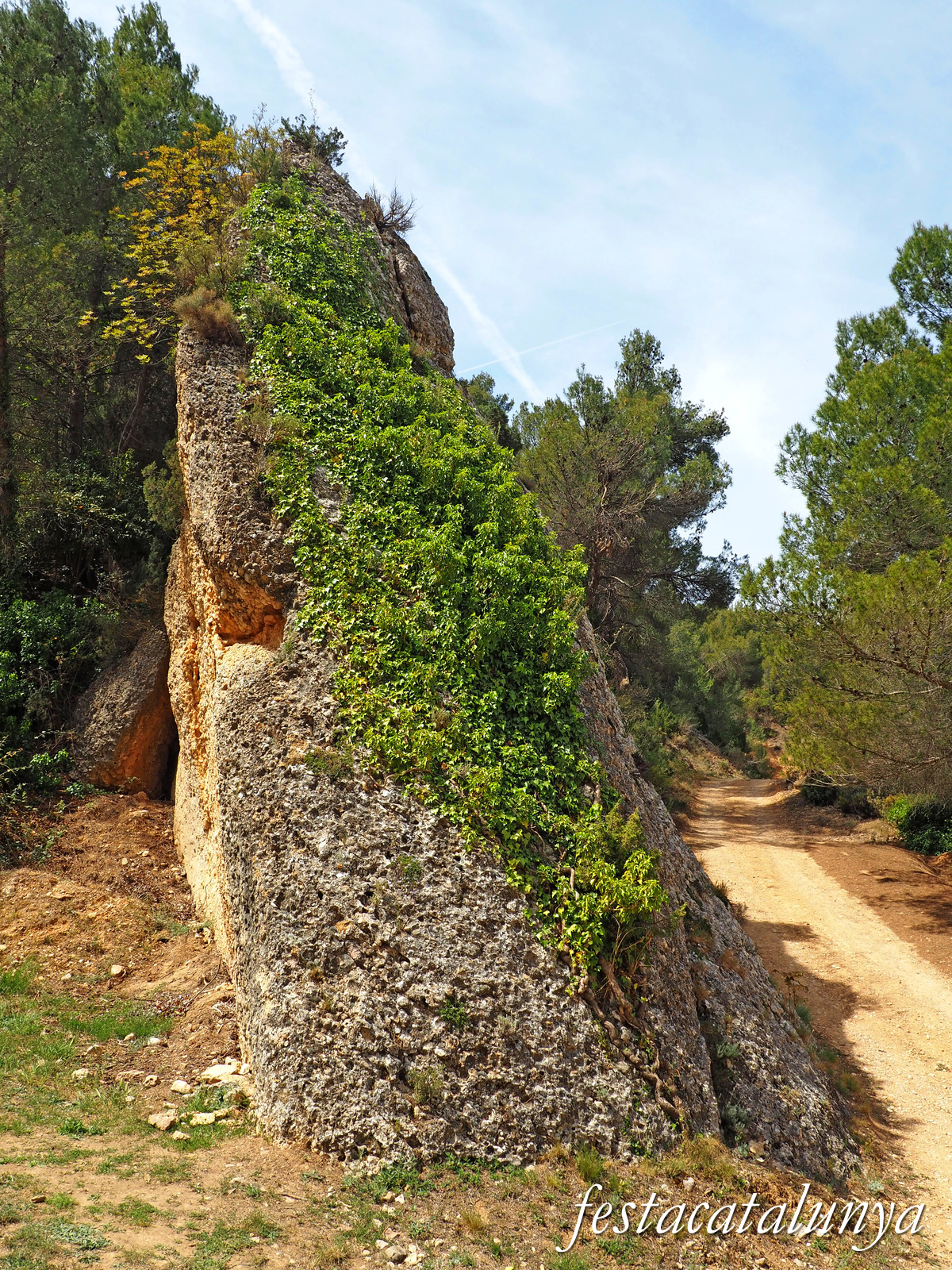 Cabacés - Ermita de la Mare de Déu de la Foia 