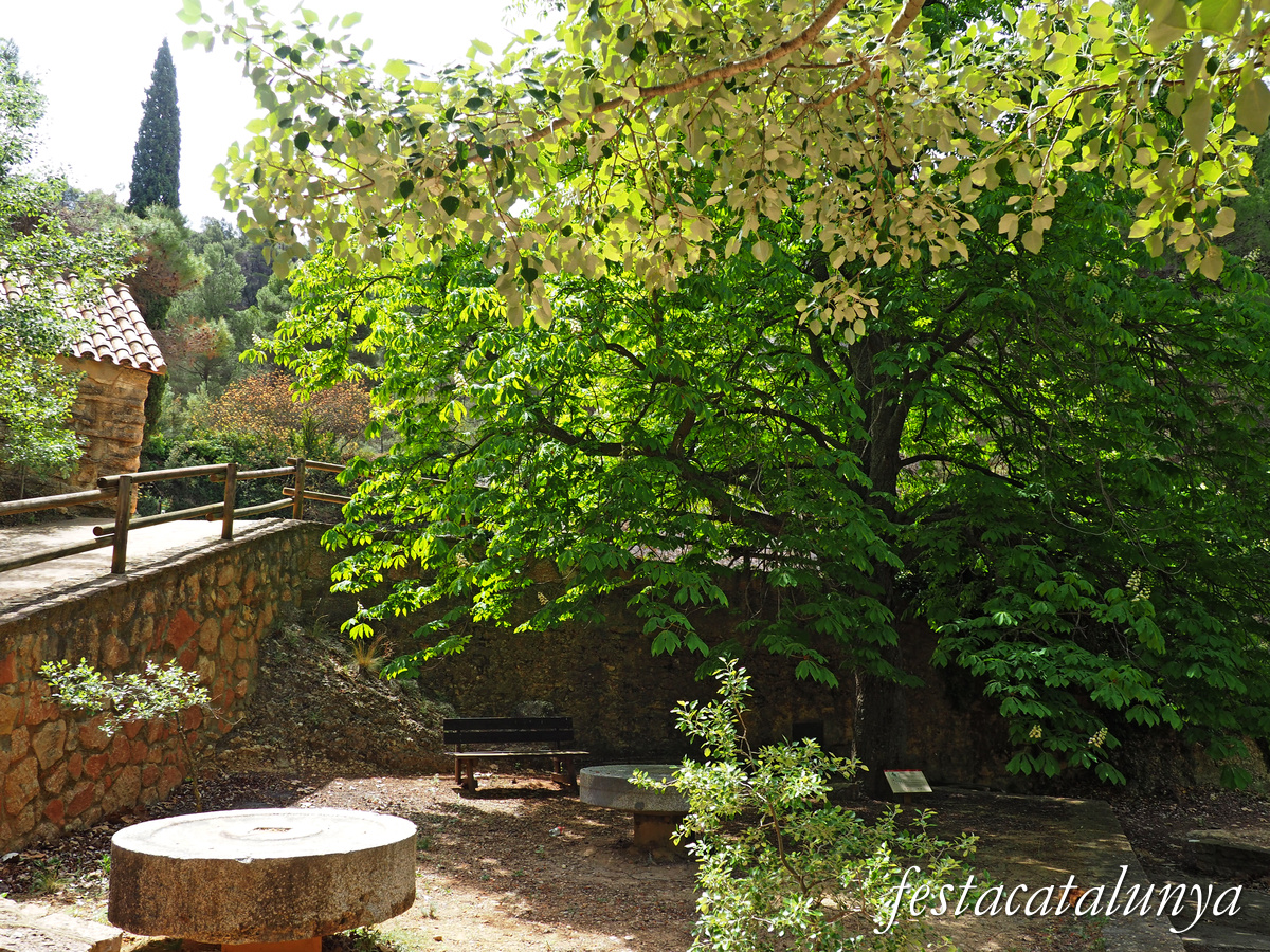 Cabacés - Ermita de la Mare de Déu de la Foia 