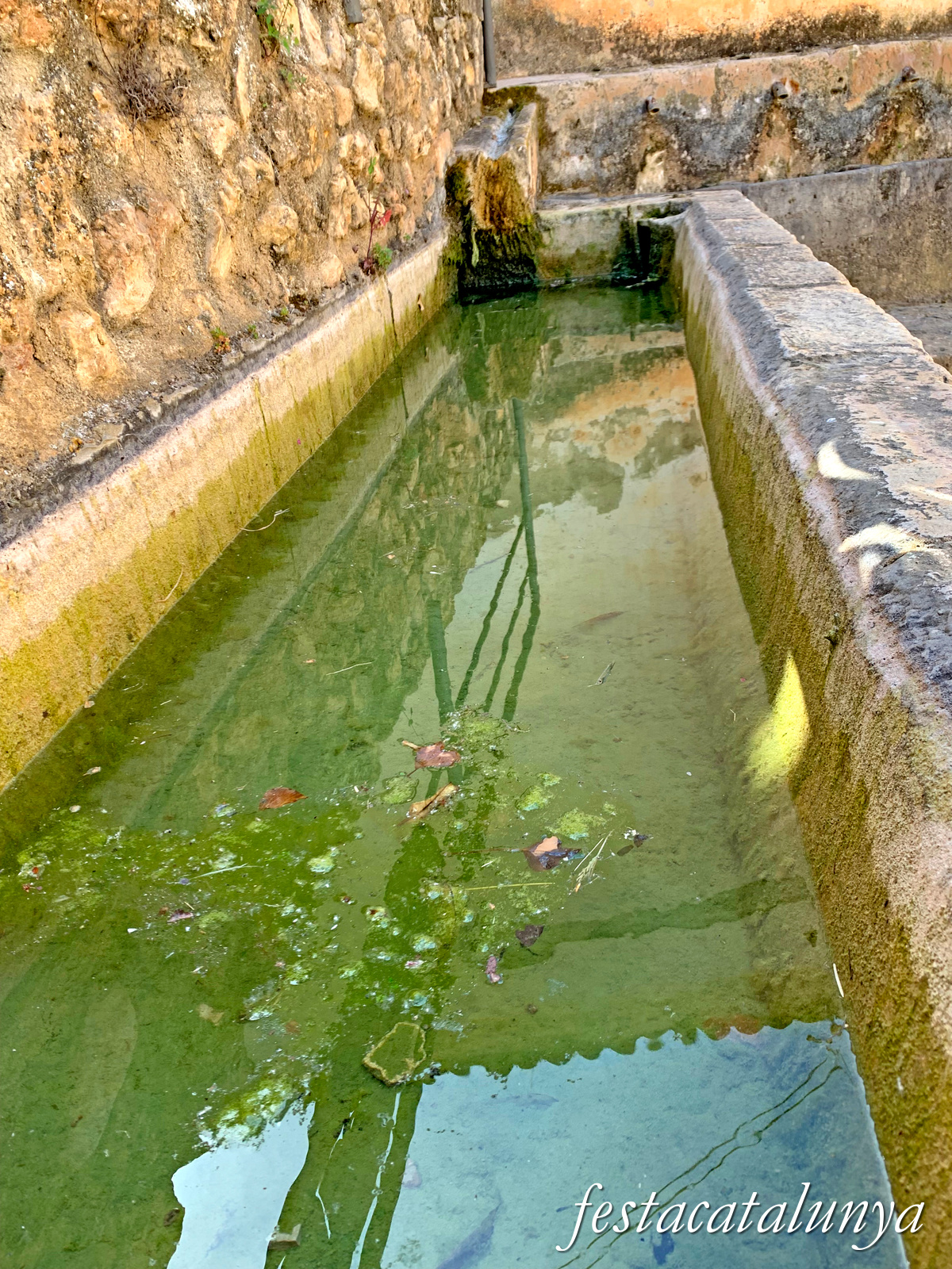 Cabacés - Font de la Canal 