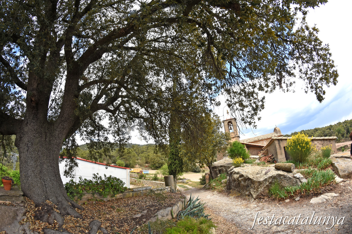 Sant Pere Sallavinera - Capella de la Sagrada Família del Molí de Boixadors 