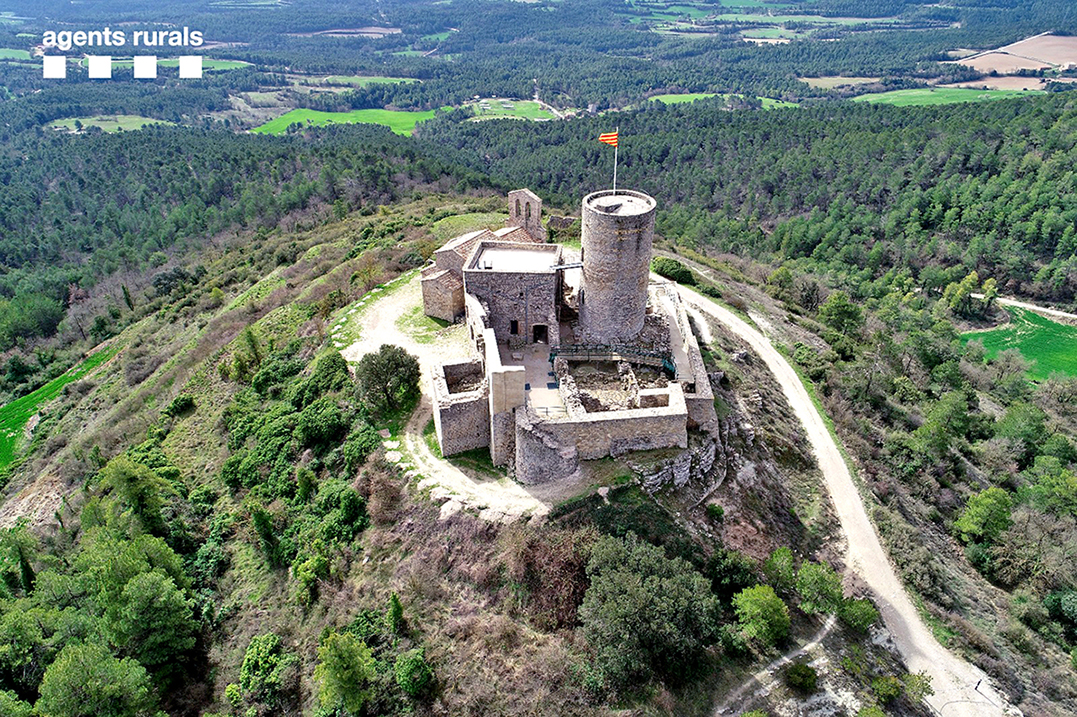 Sant Pere Sallavinera - Castell de Boixadors i església romànica de Sant Pere (Foto: Agents Rurals)
