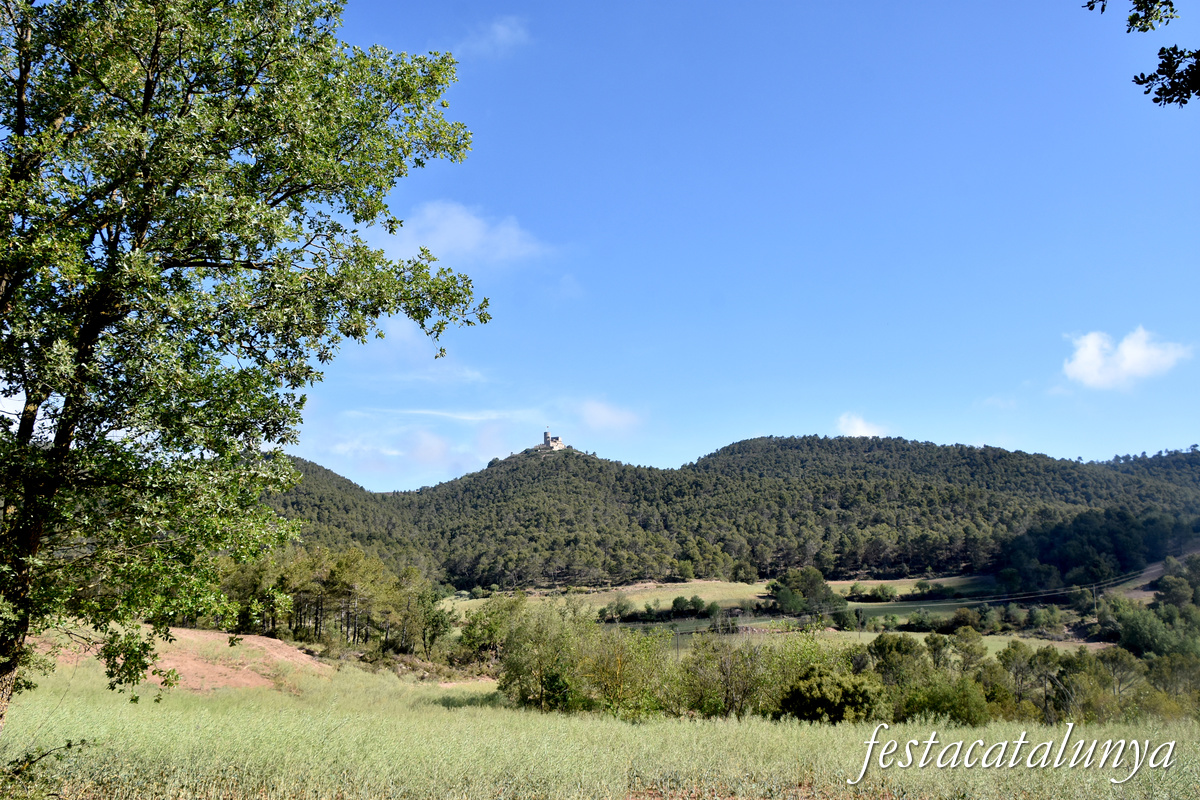 Sant Pere Sallavinera - Castell de Boixadors i església romànica de Sant Pere 