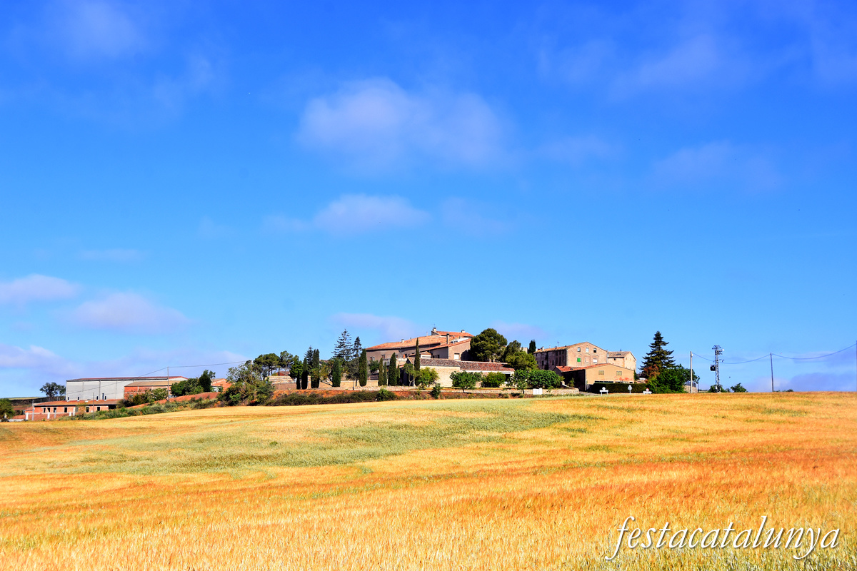 Sant Pere Sallavinera - La Llavinera 