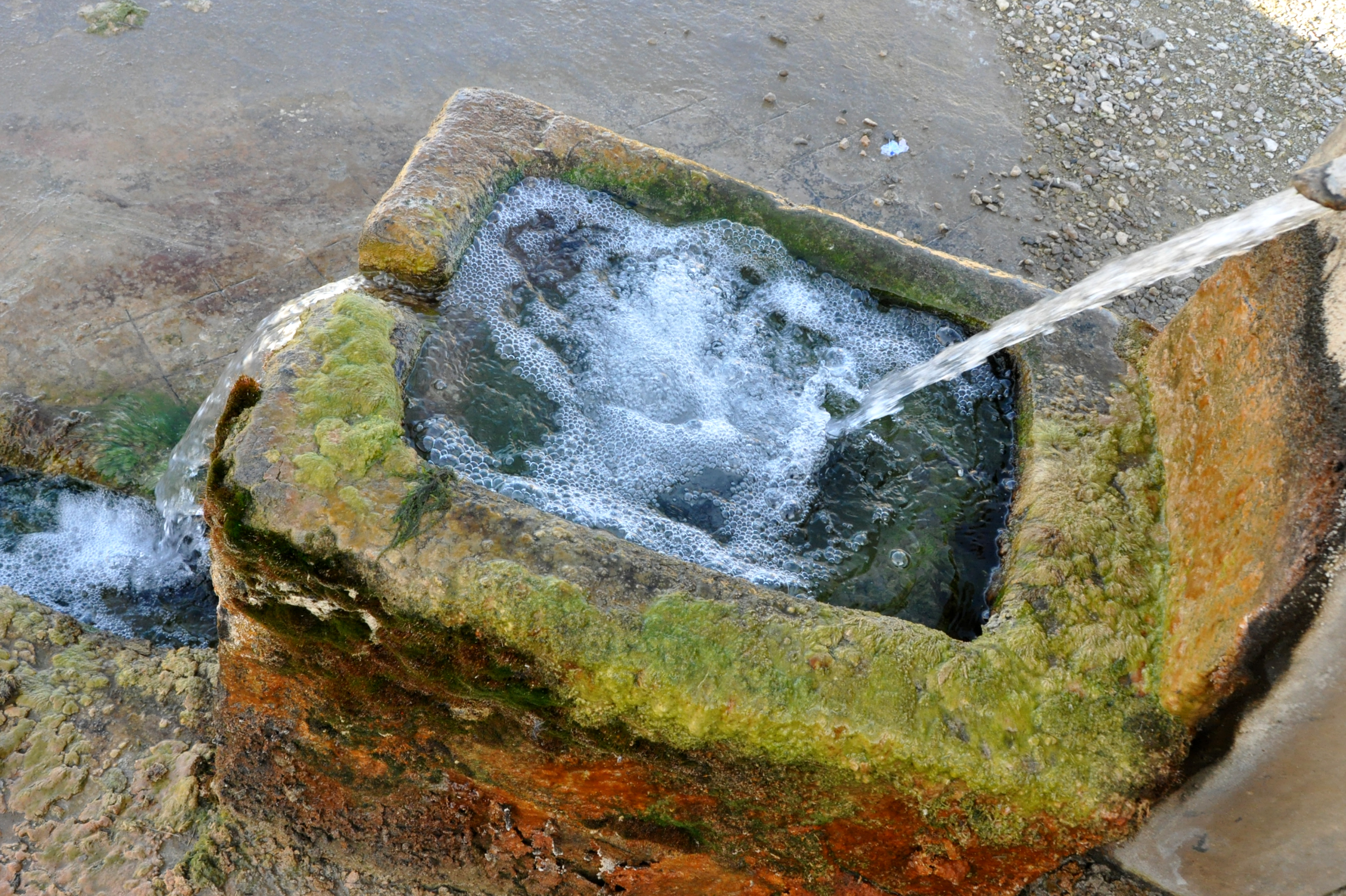 Nucli històric de la Floresta