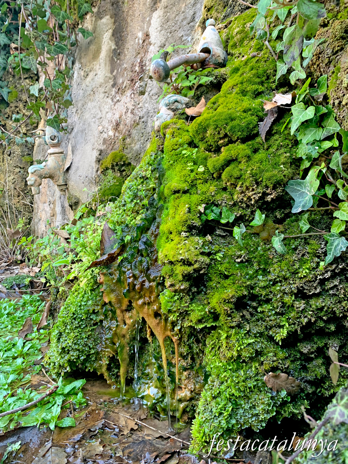 Vilanova de Meià - Nucli històric de Tòrrec - Font i safareigs