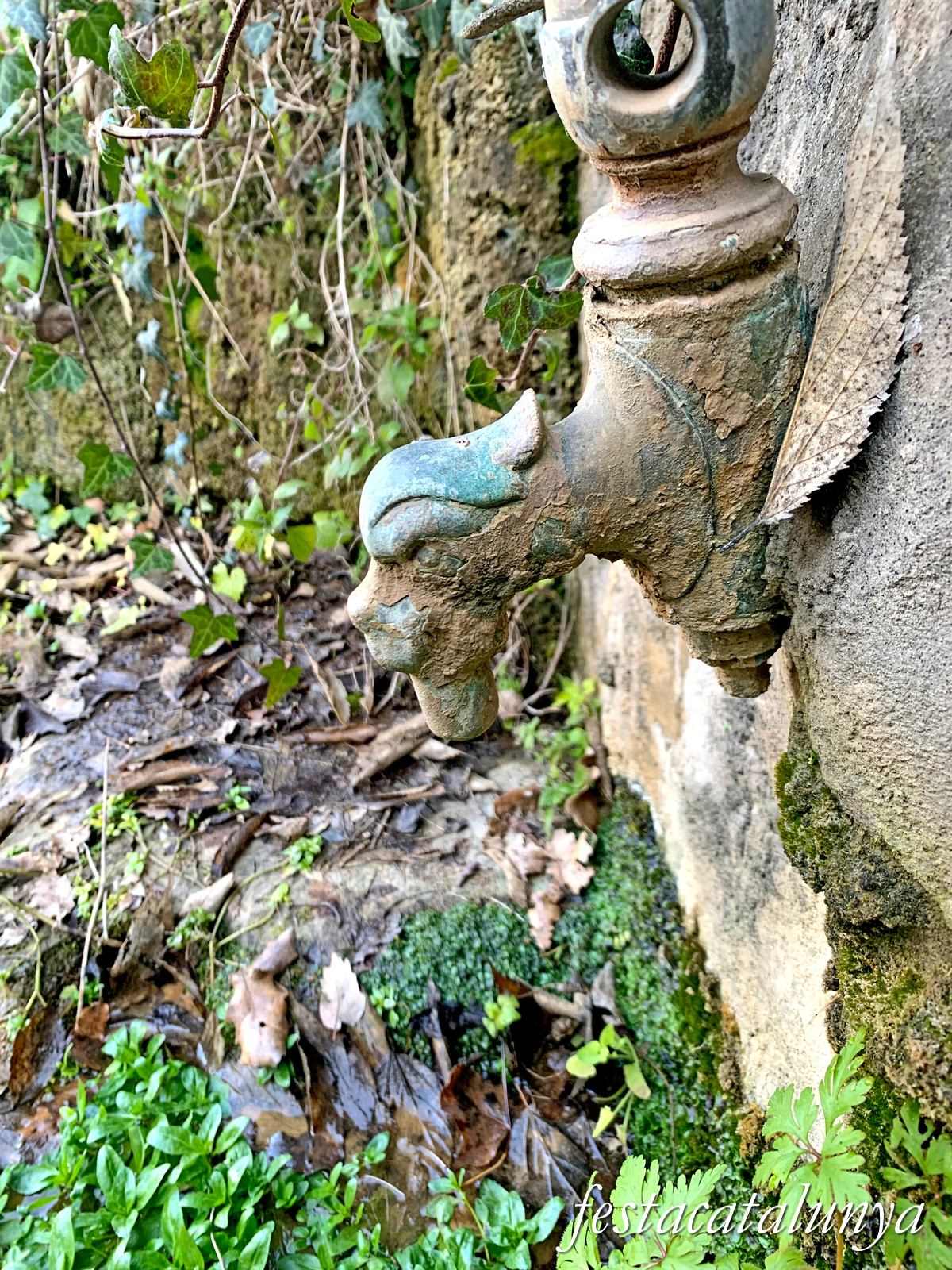 Vilanova de Meià - Nucli històric de Tòrrec - Font i safareigs