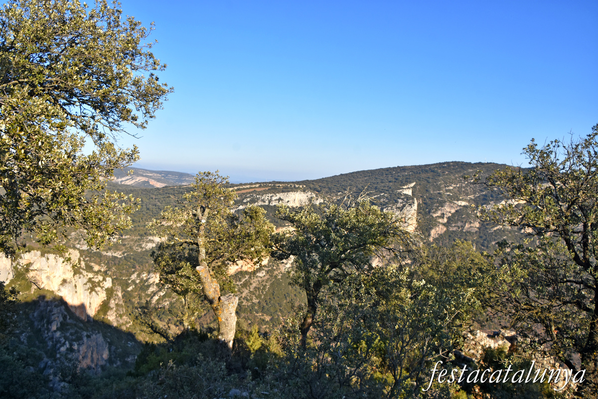 Vilanova de Meià - Castell de Meià