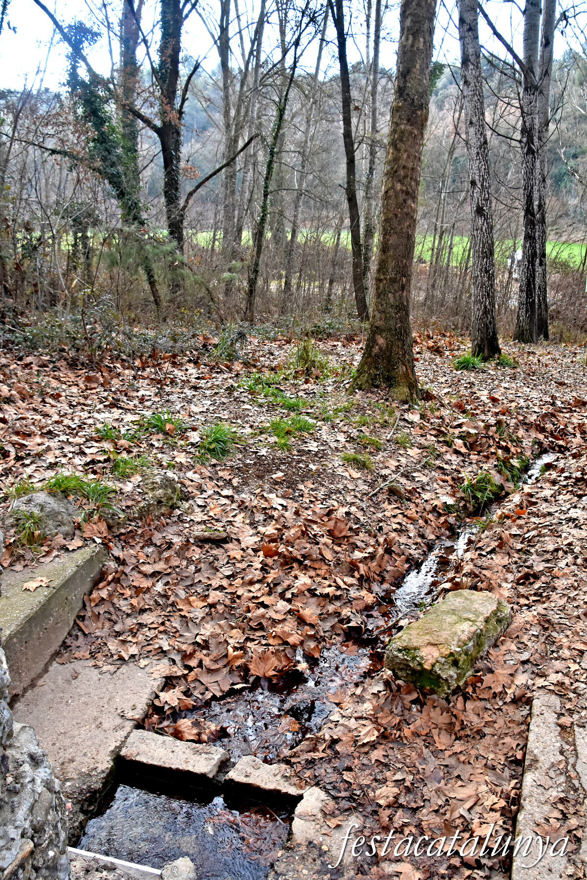Artesa de Segre - Font de la Trilla de Baldomar