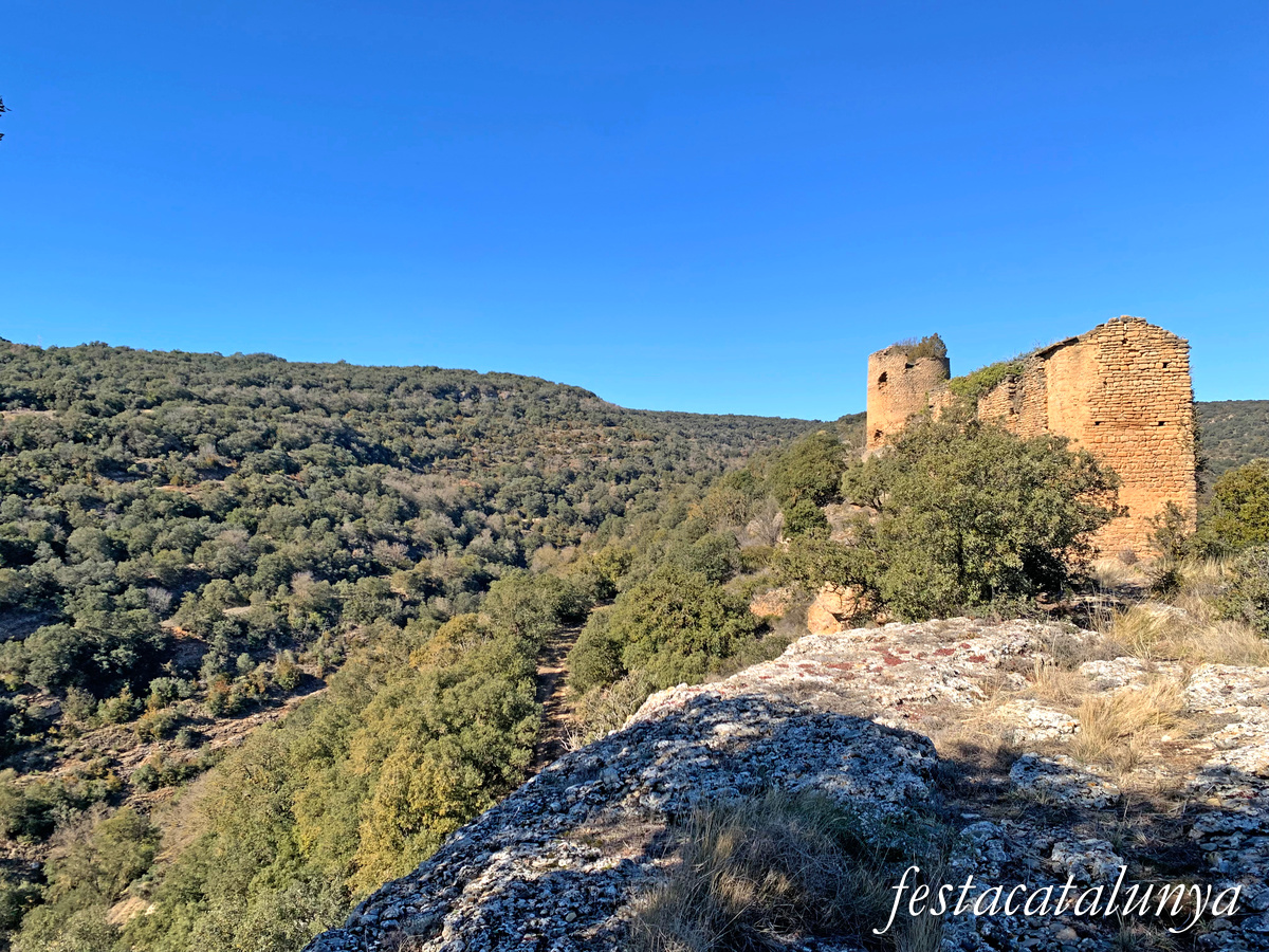Artesa de Segre - Castell de Comiols 