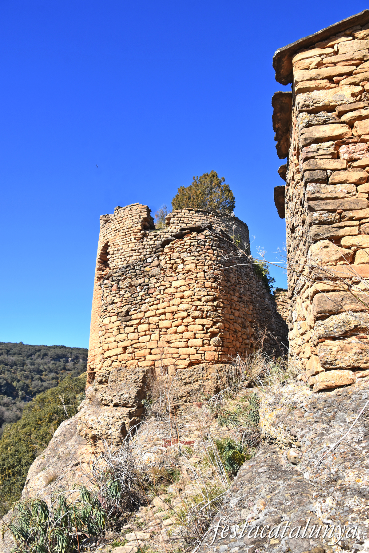 Artesa de Segre - Castell de Comiols 