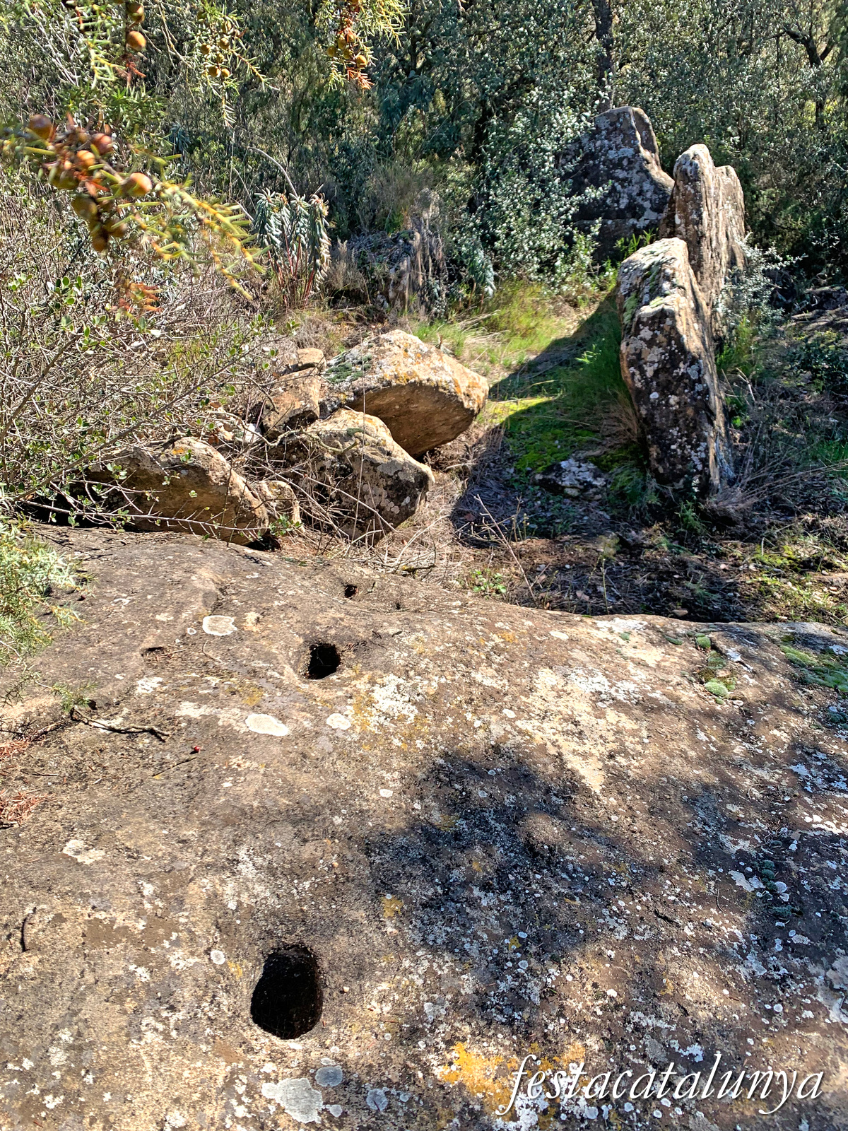 Artesa de Segre - Dolmen de Montmagastre 
