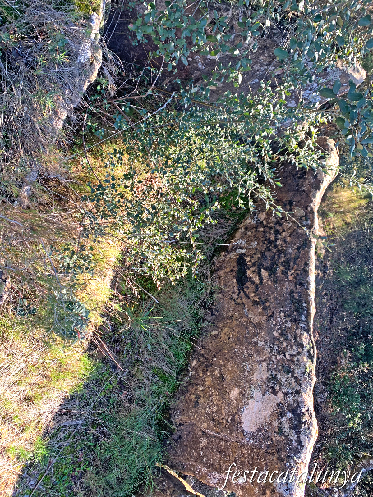 Artesa de Segre - Dolmen de Montmagastre